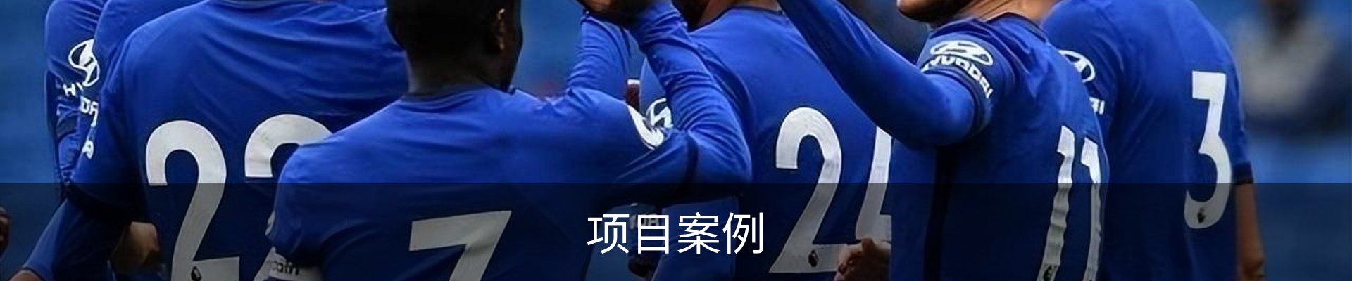 项目案例
